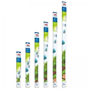 נורות היי לייט אור יום