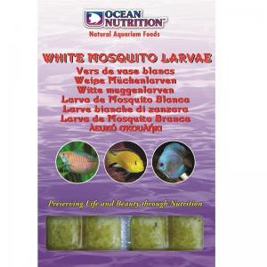 מזון קפוא תולעים לבנות